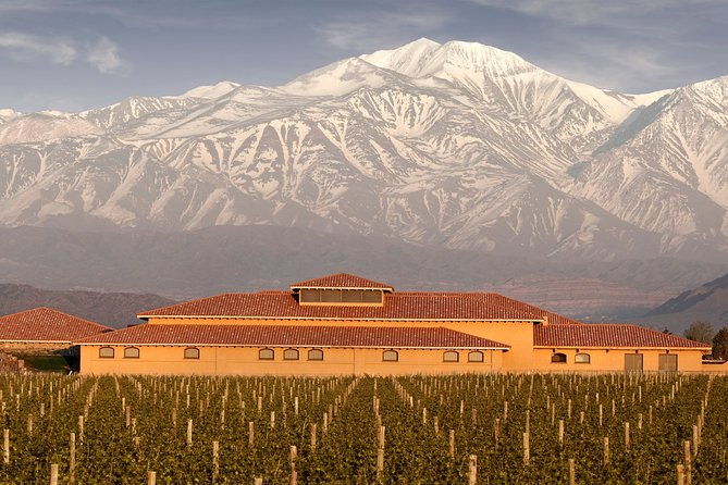 premium-lujan-de-cuyo-wine-tasting-tour-in-a-small-group