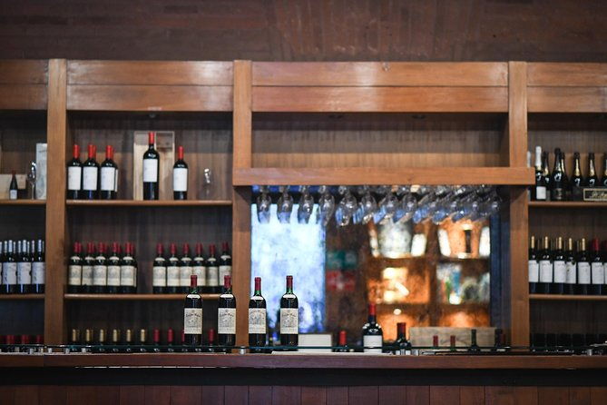 premium-wine-tour-vina-cousino-macul-official-portuguese