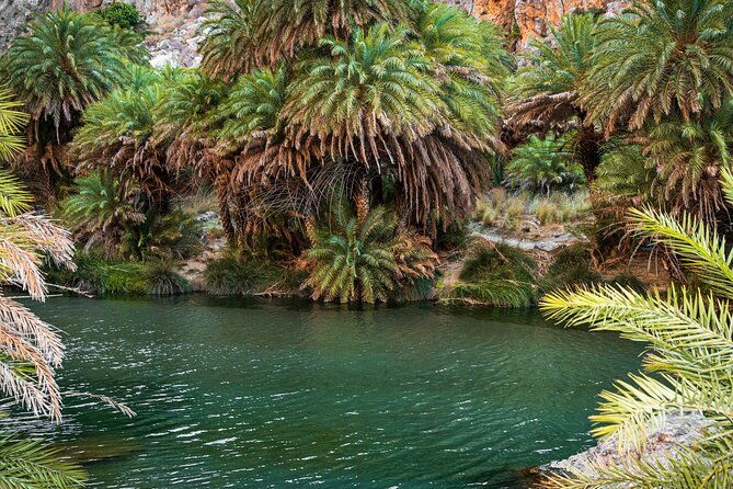 preveli-beach-and-plakias-full-day-trip-from-rethymno