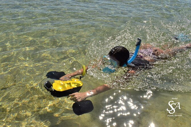princeville-snorkeling-shore-excursion
