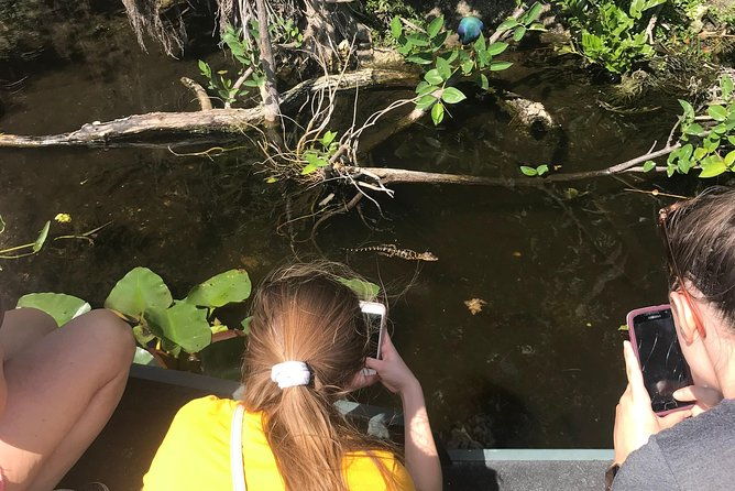 private-1-5-hour-airboat-tour-of-miami-everglades