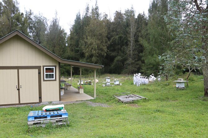 private-2-hour-beekeeping-classroom-tour-in-honokaa