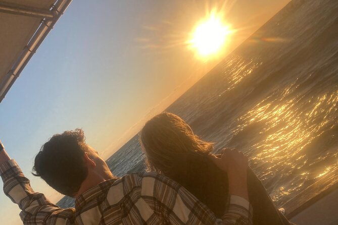 private-2-hour-dolphin-and-sightseeing-tour-2