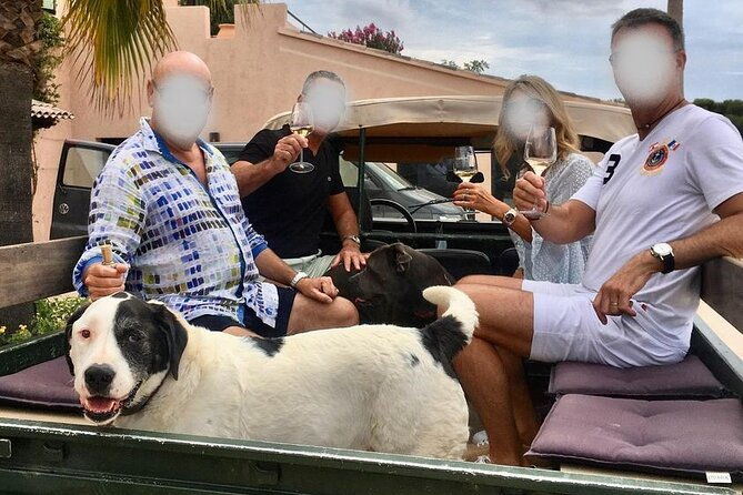 private-4x4-ride-in-a-wine-estate-followed-by-a-tasting