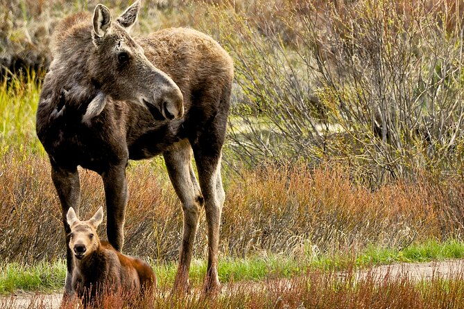private-8-hour-grand-teton-adventure