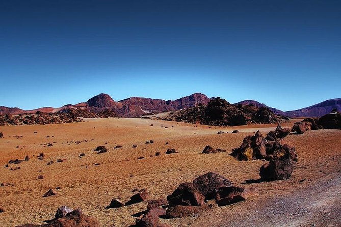 private-8-hours-tour-to-el-teide-from-tenerife-hotel-with-driver-guide