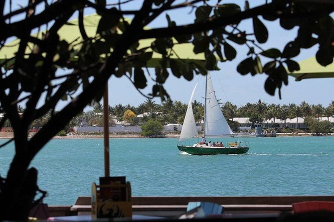 private-90-minute-harbor-sailing-charter-in-key-west
