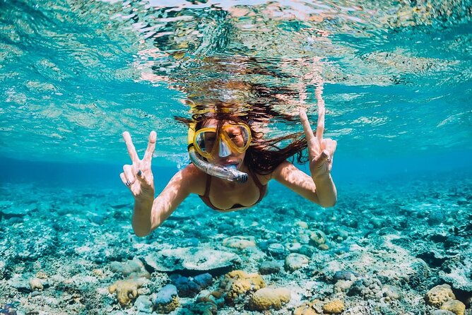 private-activity-speedboat-ride-and-snorkeling-in-punta-cana