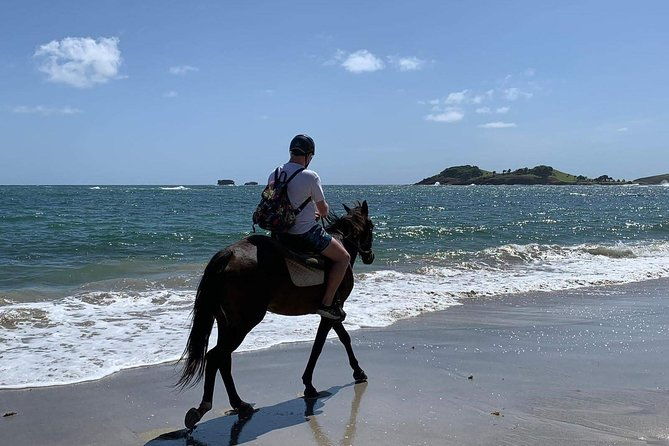 private-advanced-horseback-beach-ride-with-sandy-hoofs-st-lucia