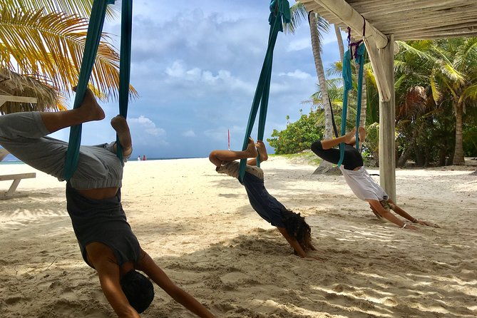 private-aerial-yoga-or-aerial-pilate-class