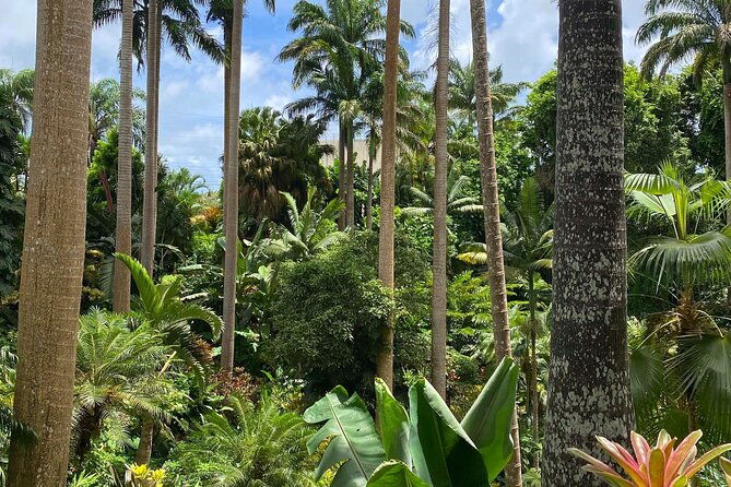 private-barbados-island-tour