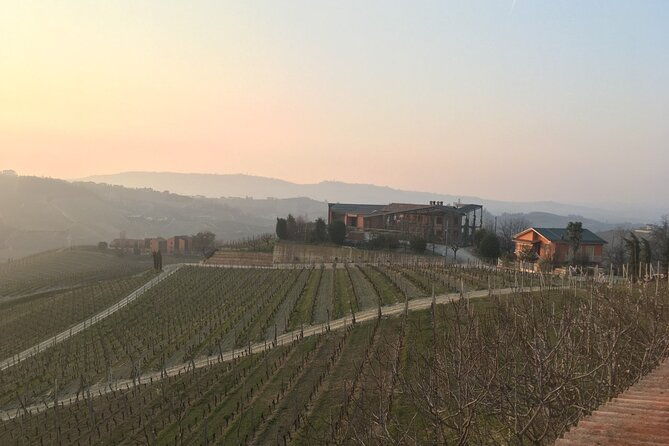 private-barolo-wine-tour-with-winemaker-from-turin
