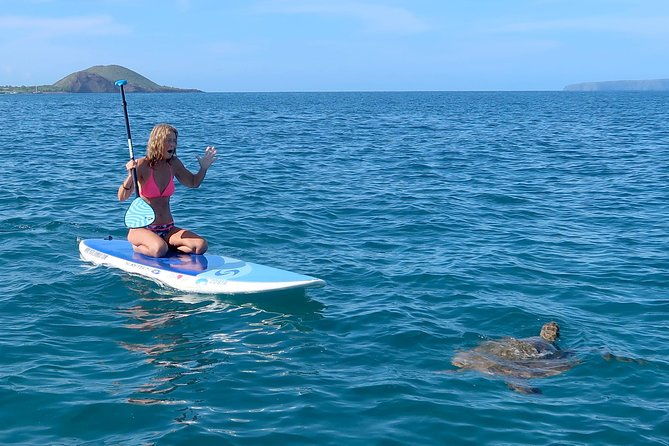 private-beginner-paddleboard-lesson-with-snorkel-in-turtle-town