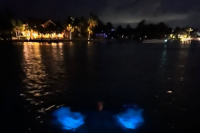 private-bioluminescence-tour