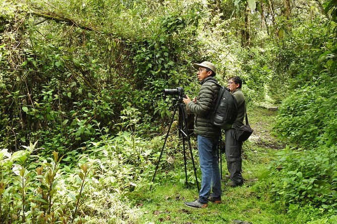 private-birding-tour-in-mindo-cloud-forest-middle-of-the-world