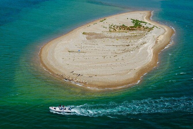 private-boat-sightseeing-tour-along-the-north-norfolk-coast-2