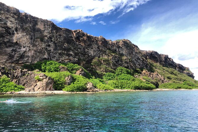 private-boat-trip-swim-board-or-snorkel