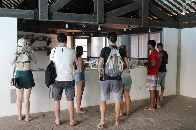 private-buggy-tour-sapiranga-reserve-forte-beach-by-emytour