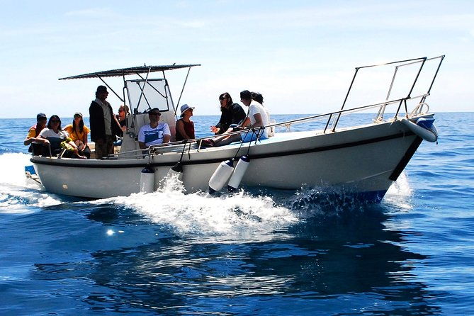 private-cinque-terre-boat-tour