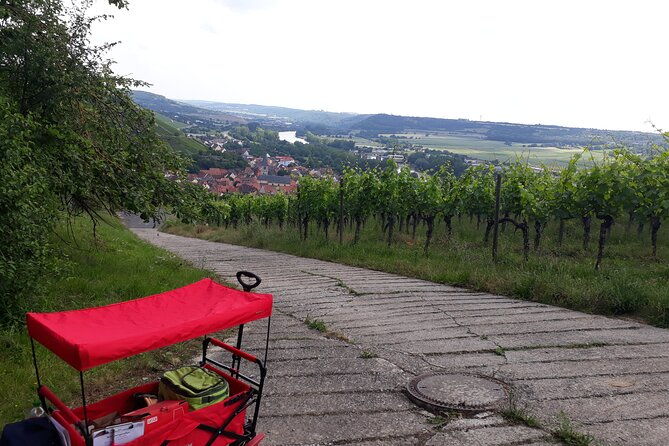 private-city-rally-in-wurzburg-including-wine-tasting