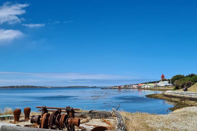 private-coastal-gems-tour-penguins-scenery-stanley