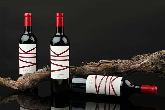 private-colchagua-vik-and-montes-wineries-experience