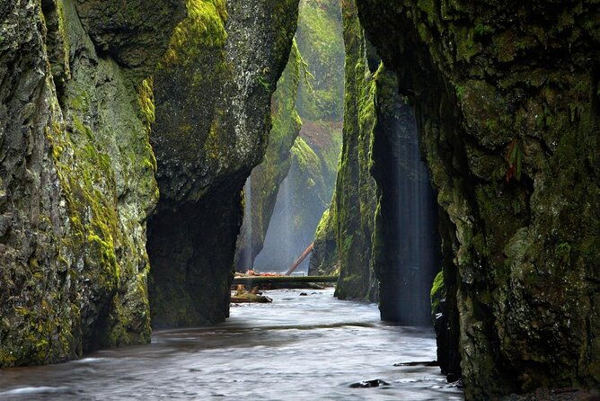 private-columbia-river-gorge-half-day-tour