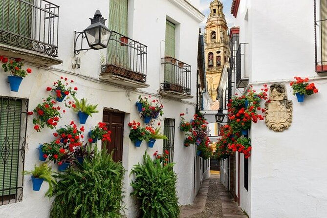 private-cordoba-seville-tour-with-a-finale-horse-carriage-ride