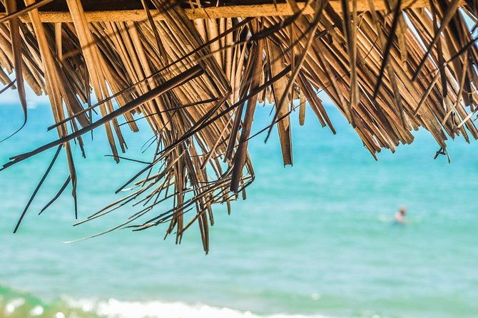 private-custom-tour-of-martinique