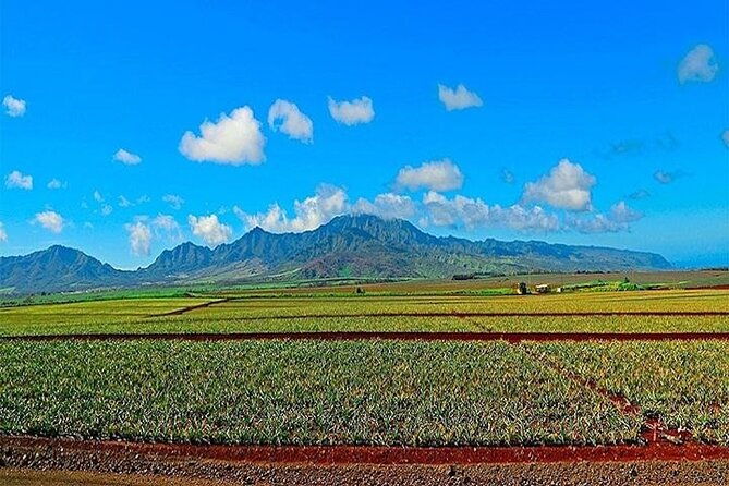 private-customizable-oahu-grand-circle-island-tour-from-waikiki