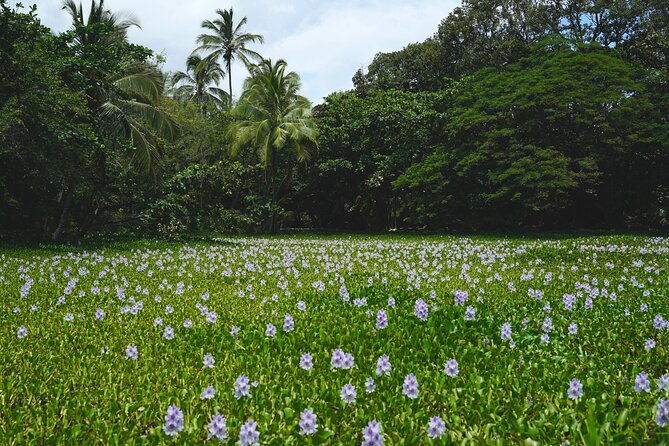 private-customized-big-island-adventure-tour