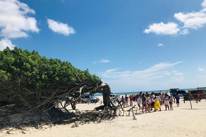 private-day-trip-on-the-east-coast-jericoacoara