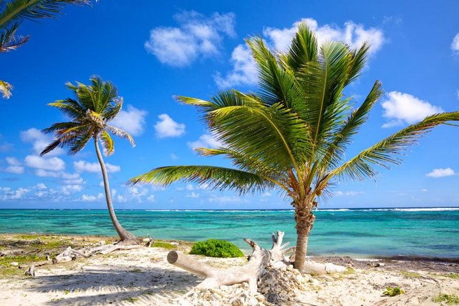 private-departure-transfer-from-uvero-alto-to-punta-cana-airport-puj