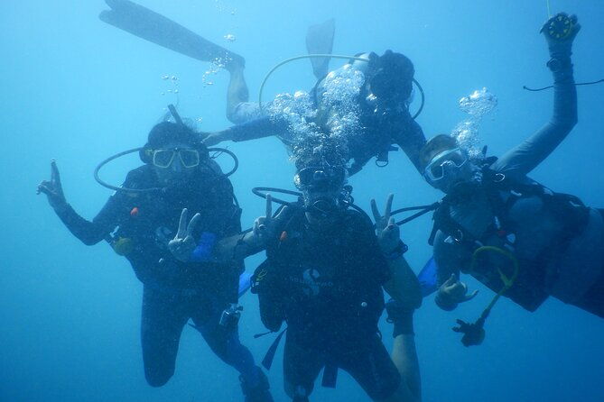 private-discovery-scuba-diving-with-sea-turtles-2