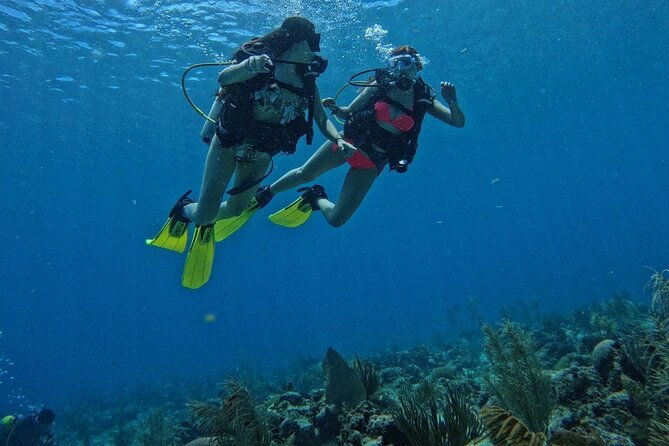 private-diving-experience-for-beginners-in-san-andres-islands