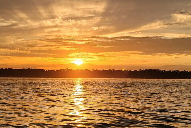 private-dolphin-boat-tour-in-hilton-head-island