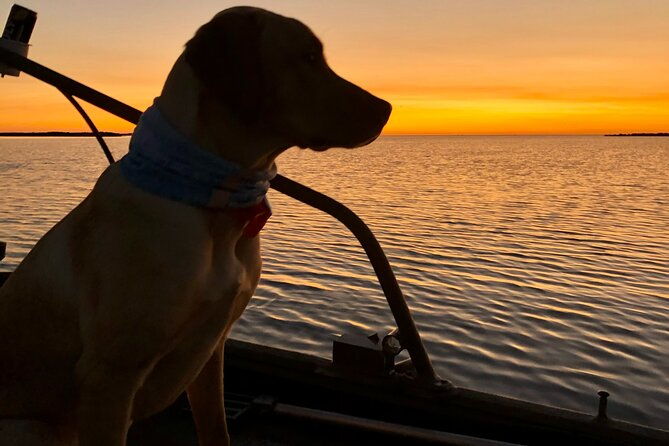 private-dolphin-watch-and-sunset-boat-tour-port-aransas-texas