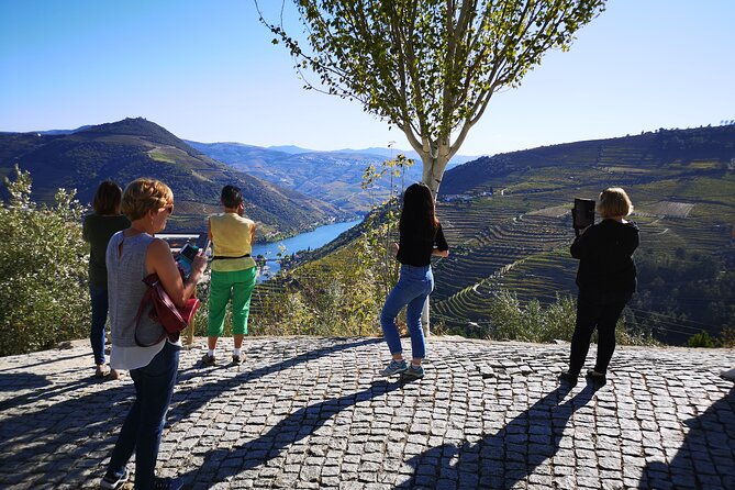 private-douro-valley-wine-tour-lunch-and-boat-cruise