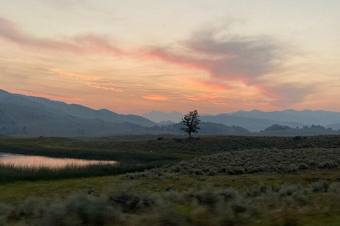 private-evening-sunset-wildlife-encounter-tour