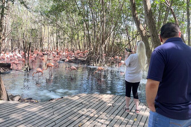 private-experience-at-the-national-aviary-of-colombia