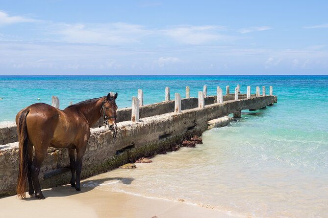 private-experience-ocho-rios-horseback-riding-rafting-and-atv