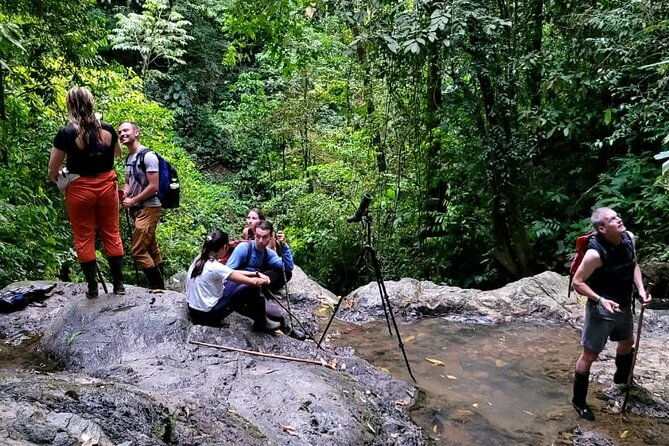 private-experience-trillo-de-la-danta-bahia-drake-osa-corcovado