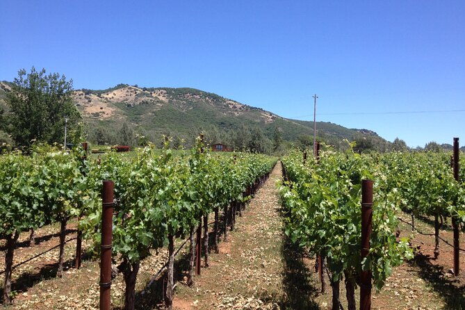 private-fredericksburg-winery-transfer