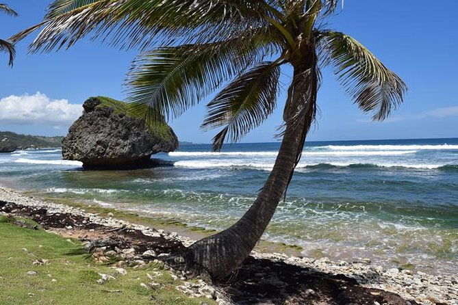private-full-day-barbados-excursion-with-entrance-fee-discounts