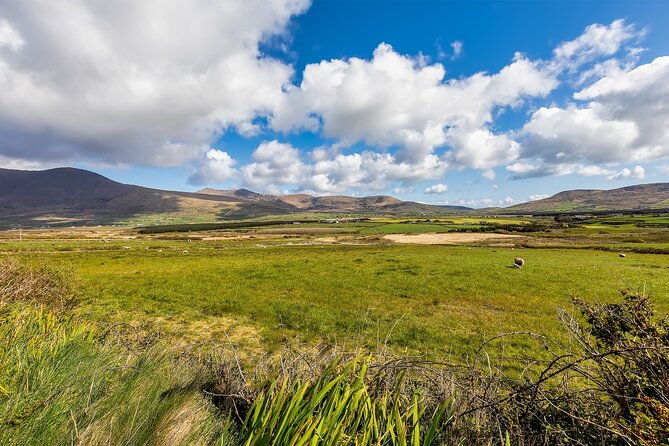 private-full-day-dingle-peninsula-slea-head-drive-tour