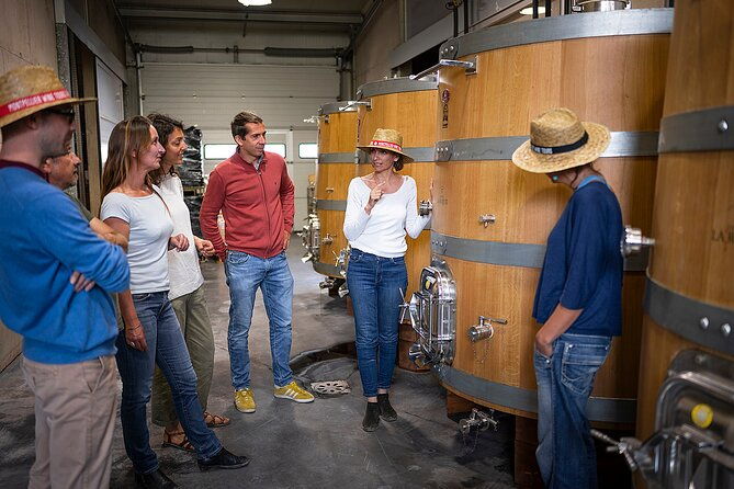private-full-day-pic-saint-loup-wine-and-olive-tour-with-lunch-from-montpellier-2