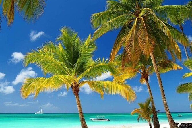 private-full-day-tour-of-punta-cana