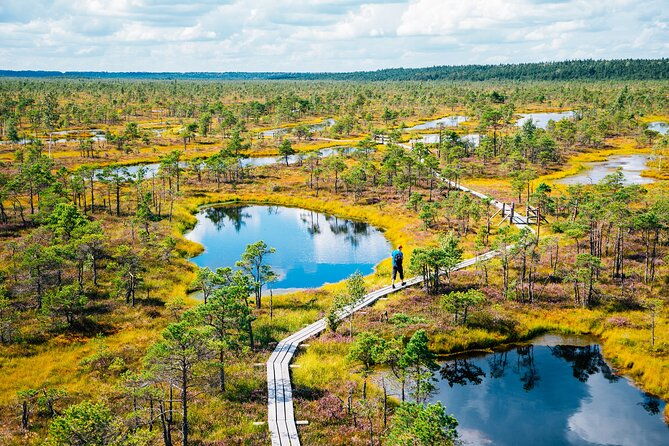 private-full-day-trip-to-jurmala-and-great-kemeri-bog-boardwalk-2