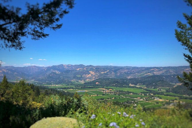 private-guided-napa-and-sonoma-wine-tour-and-tasting