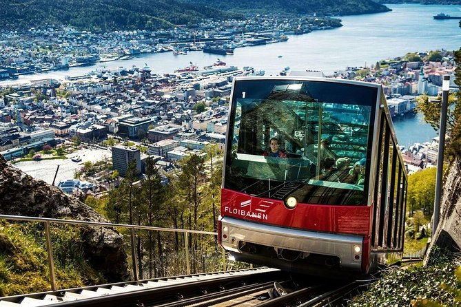 private-guided-tour-city-sightseeing-bergens-top-attractions-3